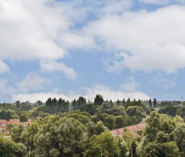 Meander, Amstelveen - Photo 3