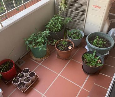 Warwick Farm - Photo 3