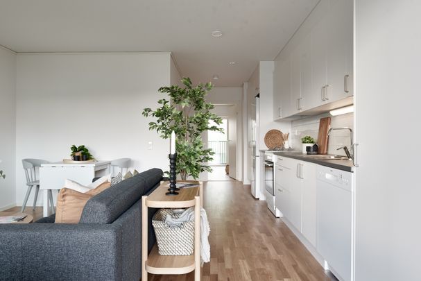 Segerstadsvägen, Växjö - Foto 1