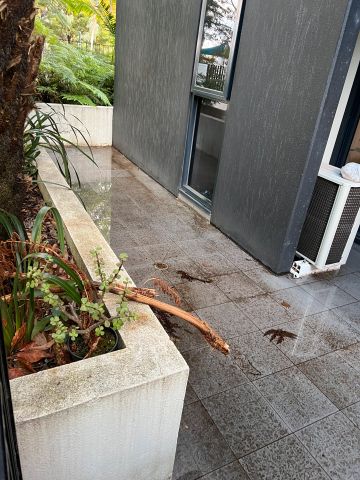 116b/1-19 Colombo St , MITCHAM - Photo 3