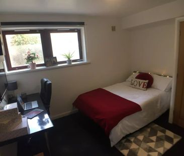 Ensuite Room (Gold-B) - Photo 5