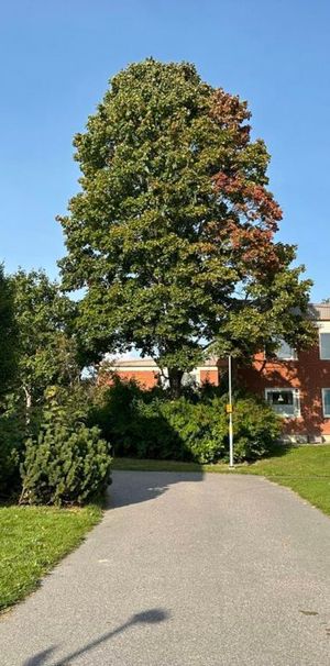 Norrbackavägen 3 C, 19543, Märsta - Foto 1