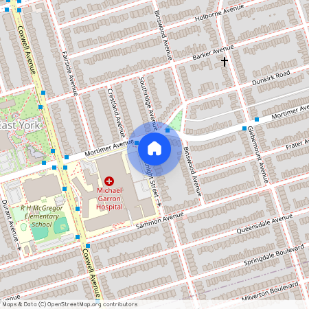 25 Knight Street Unit# Lower, Toronto