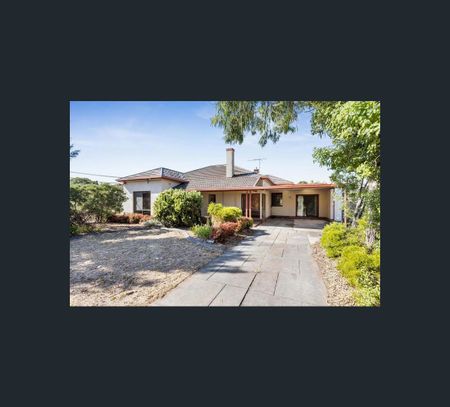 2C Ferris St, Renown Park, SA 5008 - Photo 2