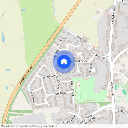 Maple Way, Penyffordd, CH4