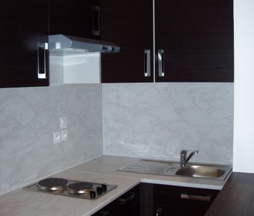 Location Appartement 1 pièce 26m² - Photo 3