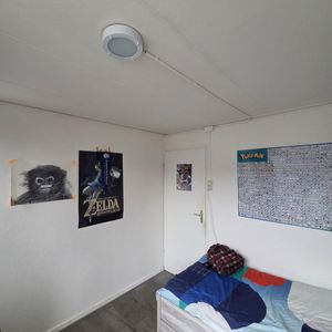 2 kamers Steenstraat ( tijdelijk huurcontract ) - Photo 2