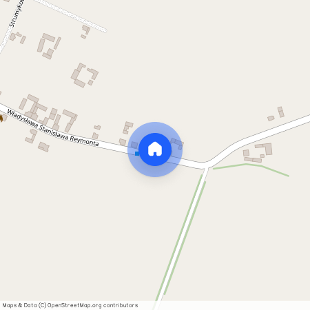 ul. Władysława Stanisława Reymonta, Spytkówki, Kościan, kościański, wielkopolskie