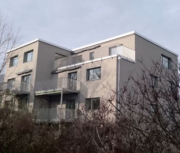2.5 Zimmer, 50 m², 2. Stock - Foto 4
