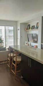 Queen West Furnished Modern 1 Bed 1 Bath Condo - Photo 3