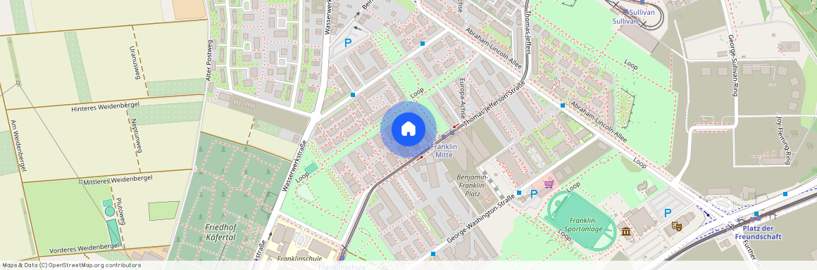 Thomas-Jefferson-Straße 41, 68309, Mannheim