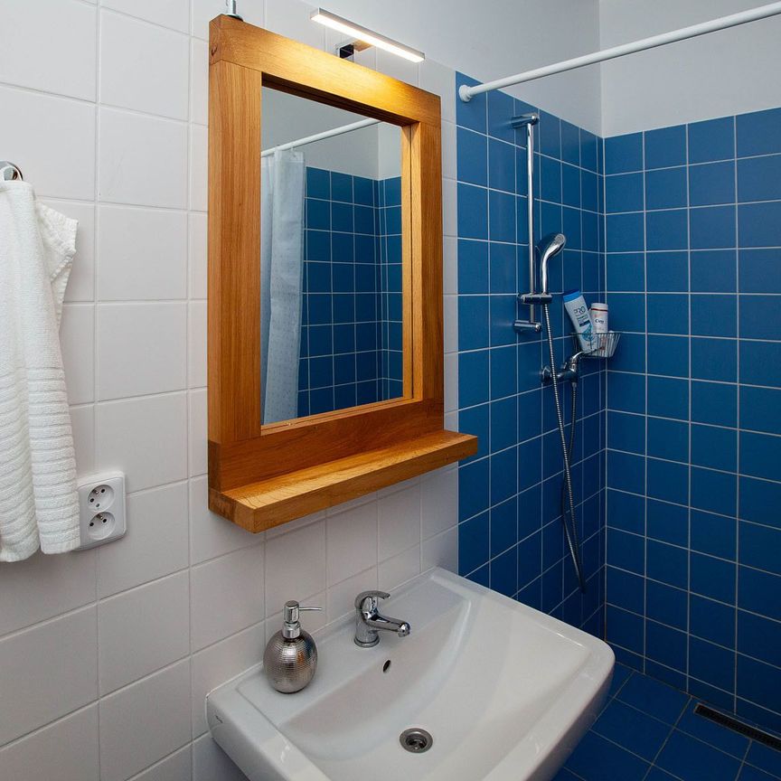 Pronájem bytu • 20 m² bez realitkyVíta Nejedlého, Praha - Žižkov - Photo 1