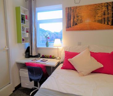 1 bedroom house to rent - Photo 2