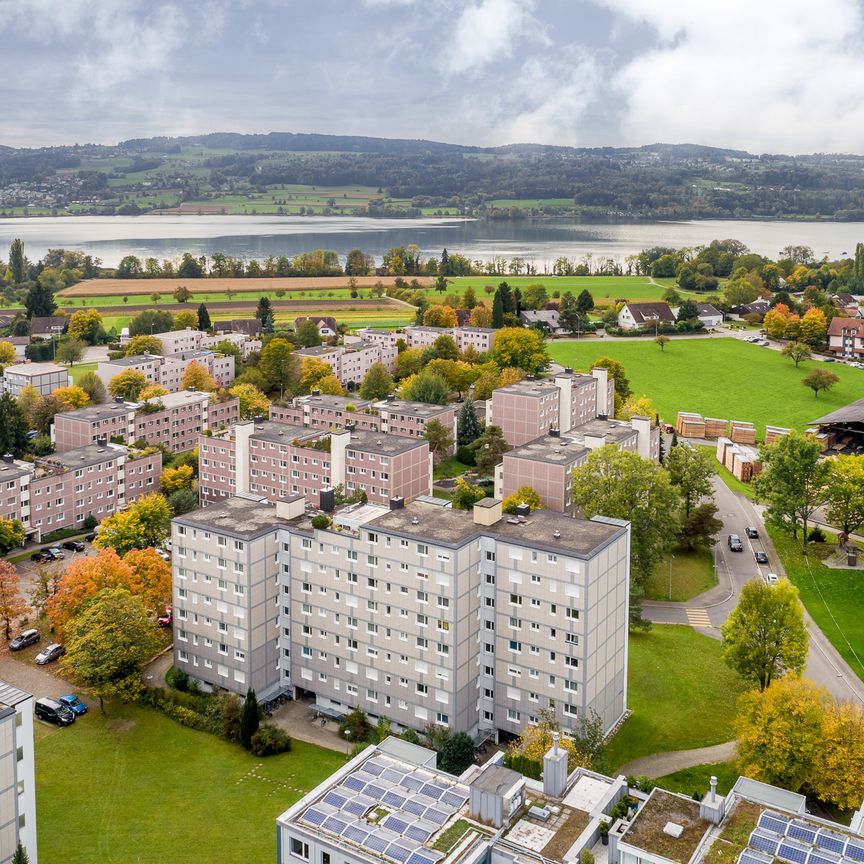 Die perfekte Wohnung am idyllischen Greifensee! - Foto 1