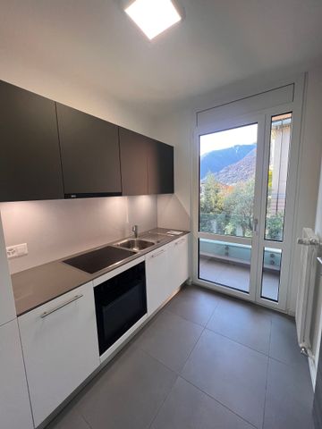 LUMINOUS 2.5-ROOM APARTMENT FOR RENT IN RECENTLY RENOVATED BUILDING - Photo 3