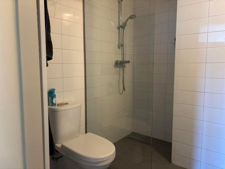 Ruim 3-kamerappartement in het centrum van Den Haag – per 5 juni beschikbaar! - Photo 2