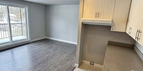 Magnifique 3½ – Disponible JUILLET - Photo 3