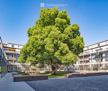 Grosszügige 2.5-Zimmerwohnung mit Balkon - Photo 5