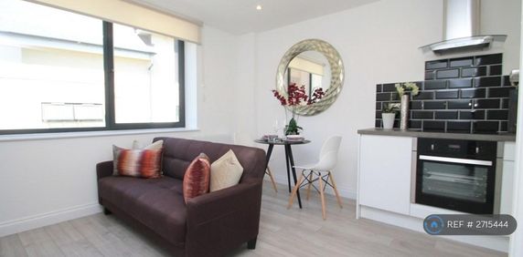 1 bedroom flat to rent - Photo 2