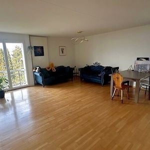 2½ Zimmer-Wohnung in Stäfa (ZH), möbliert, auf Zeit - Foto 2