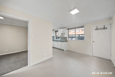 5/5 Charles Street, Queanbeyan NSW 2620 - Apartment For Rent | Domain - Photo 3