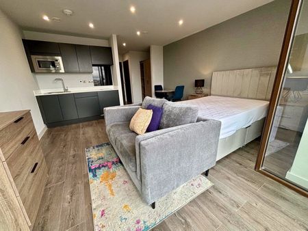 Studio Flat, Parliament Sqaure, L1 - Photo 5