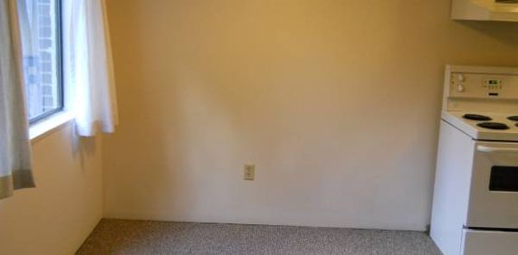 Spacious 1 Bedroom Apartment (Unit 217) - Photo 2