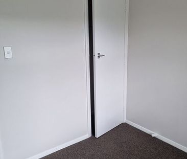 Completely renovated top to toe 2 bedroom unit - Photo 6