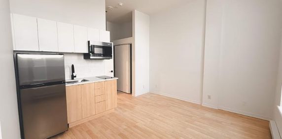 1 CH - 1 SDB - Montréal - $1,195 /mo - Photo 2