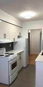 PET FRIENDLY 1B SUITE IN KITSILANO - Photo 3