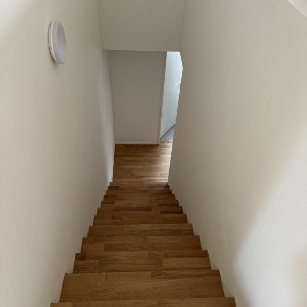 Erstbezug in Pratteln - 5.5 Zimmer-Maisonettwohnung im EG/SG - Foto 1