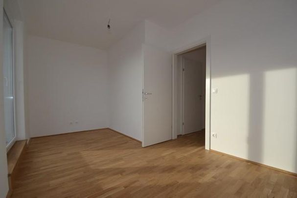 Annenviertel – 40 m² – 2 Zimmer – Penthousecharakter – mit herrlicher Dachterrasse - Photo 1