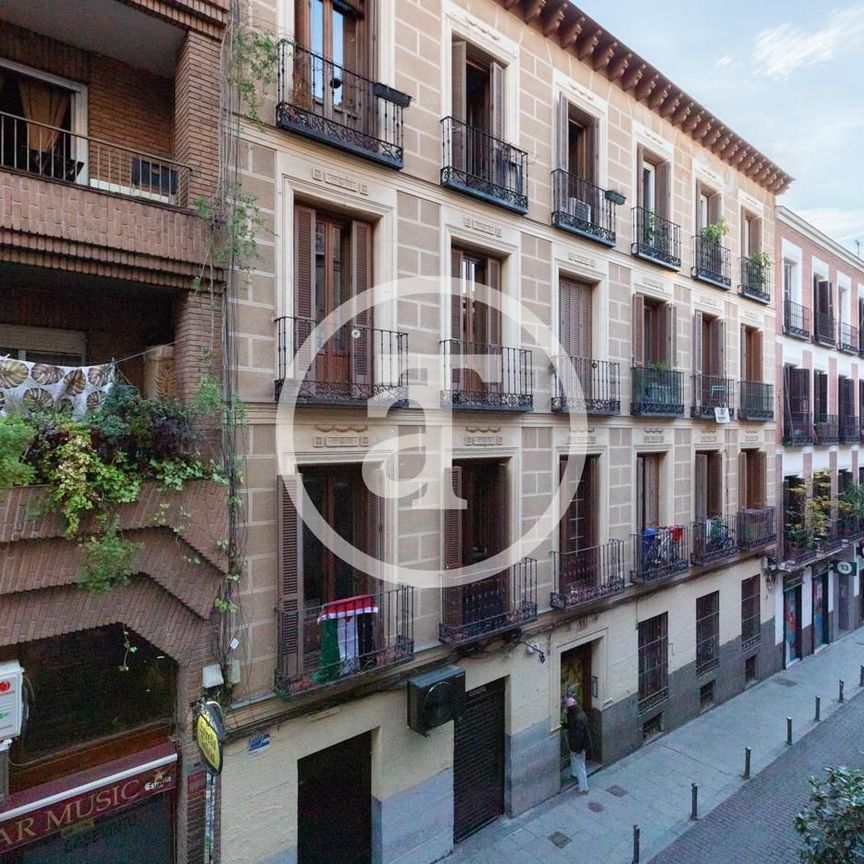 Estudio de alquiler en Calle de Velarde, 18, Universidad - Malasaña - Photo 1