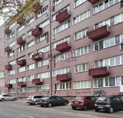 JASNE BŁONIA do wynajęcia 2 pok. po remoncie - Фото 1