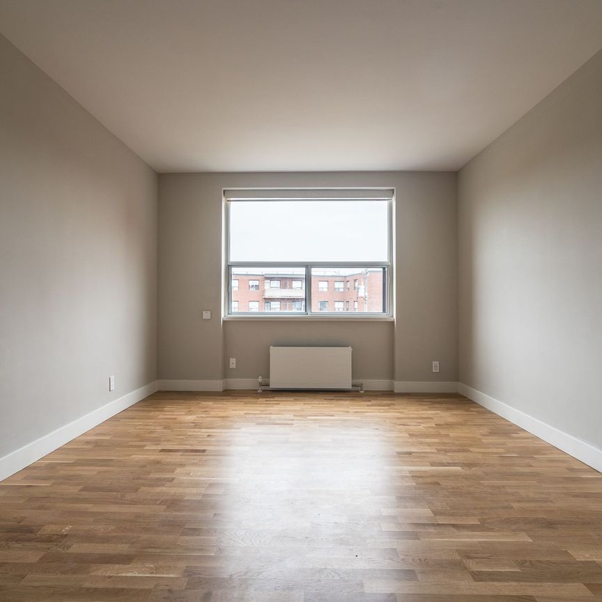 25 Eccleston Drive - Photo 1