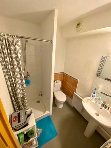 Location appartement 1 pièce, 20.00m², Albi - Photo 5