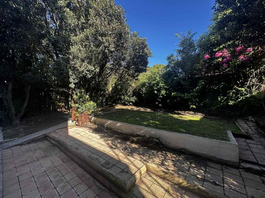 Spacious and sunny in St Clair! - Photo 1