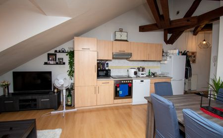 PONTARLIER - T1 BIS~SECTEUR CALME - Photo 3