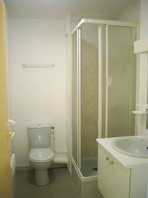 Location Appartement 1 pièce 19m² CLERMONT FERRAND 63000 - Photo 1