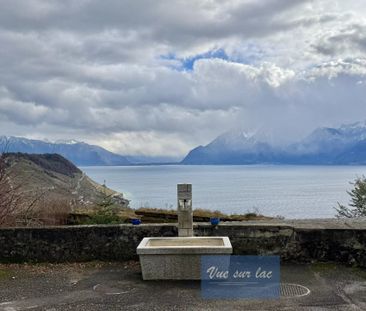 Renovated apartment with character, stunning views in Grandvaux - Foto 6