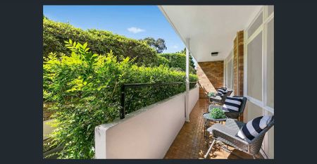 Peaceful garden retreat in prime Lane Cove - Photo 4