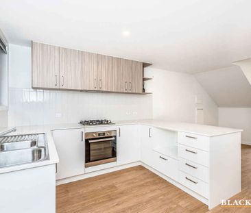 Terrific in Taylor - Photo 5