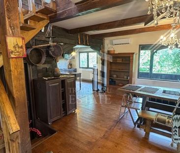 Casa autentica maramureseana de vanzare in Snagov-Tancabesti - Photo 5
