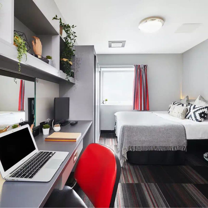 Deluxe King Plus Studio - Photo 1