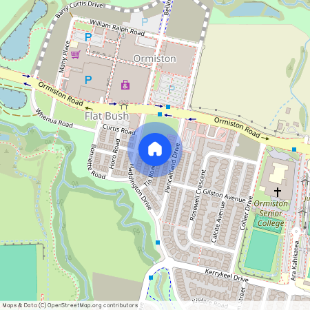 Kamana Road, Flat Bush, Manukau City