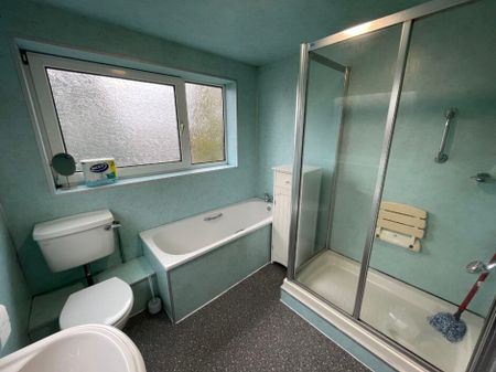 Bath Rd, Swansea, SA6 - Photo 4