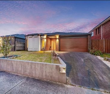 Modern and Spacious Home AVAILABLE 12th of NOVEMBER - Photo 2