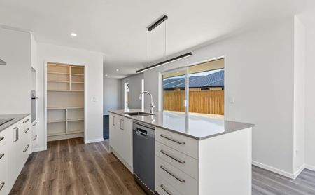 BRAND NEW! A Touch of Luxury in Falcon's Landing - Photo 5