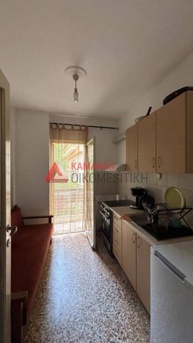 Studio/Γκαρσονιέρα για ενοικίαση Βούλγαρη - Άγιος Ελευθέριος - Ντεπώ (Βούλγαρη - Ντεπώ - Μαρτίου) - Photo 3