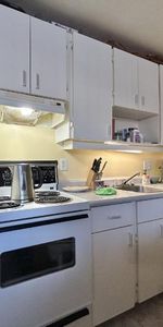 Appartement 3 ½ à louer Lévis juillet 2026 - Photo 4